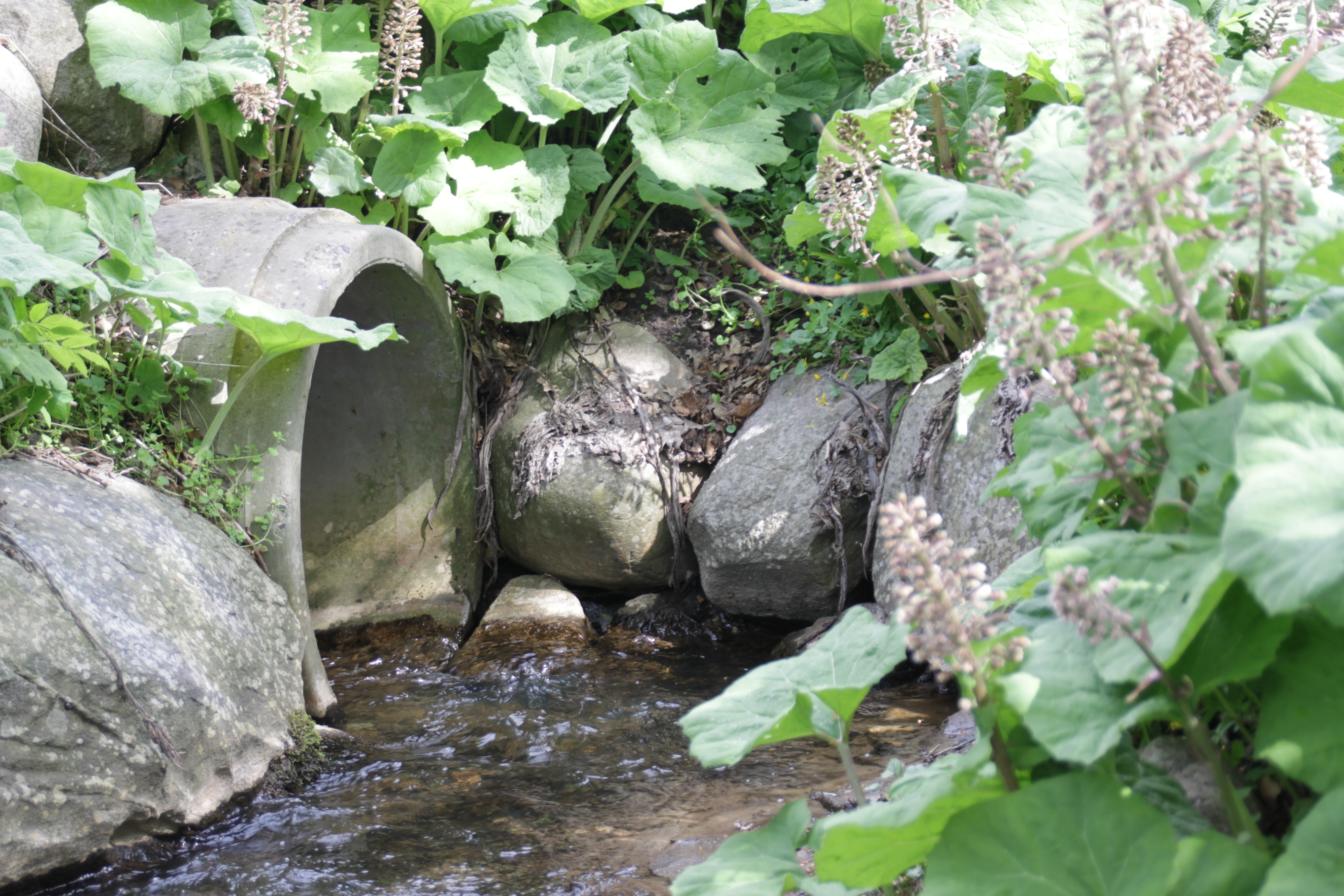 Infomøde i Kværndrup omkring udtrædelse af kloakfællesskaber for tag- og overfladevand