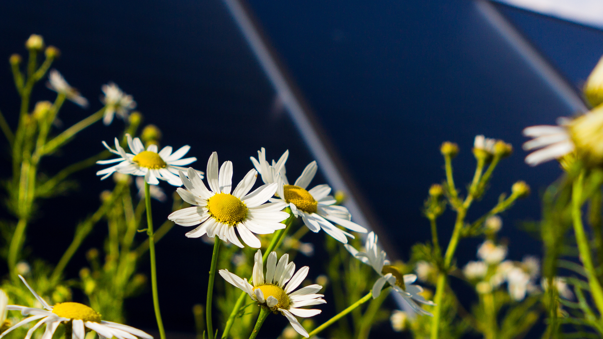 Hvorfor vælge fjernvarme?