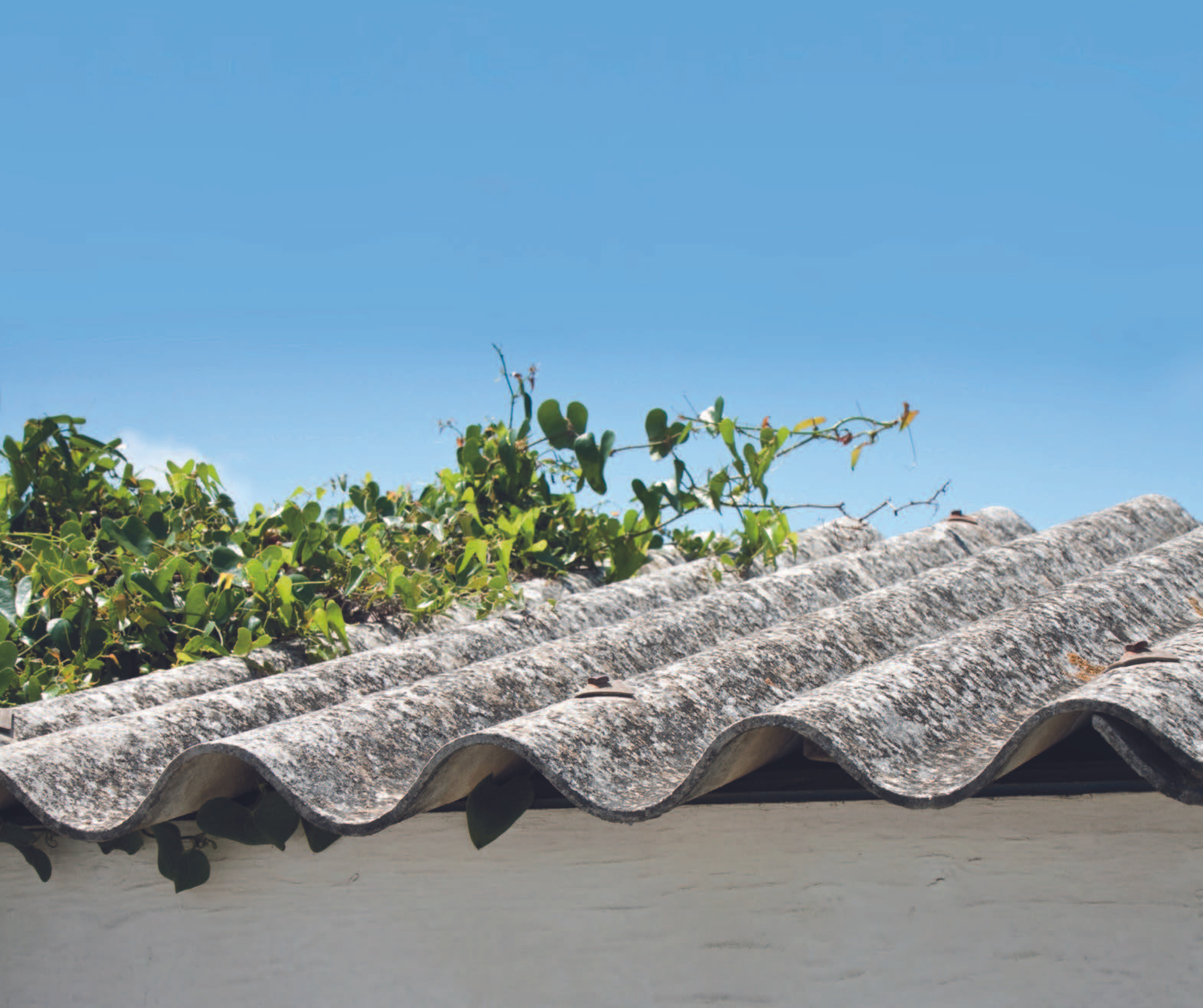 Nye regler for håndtering af asbest