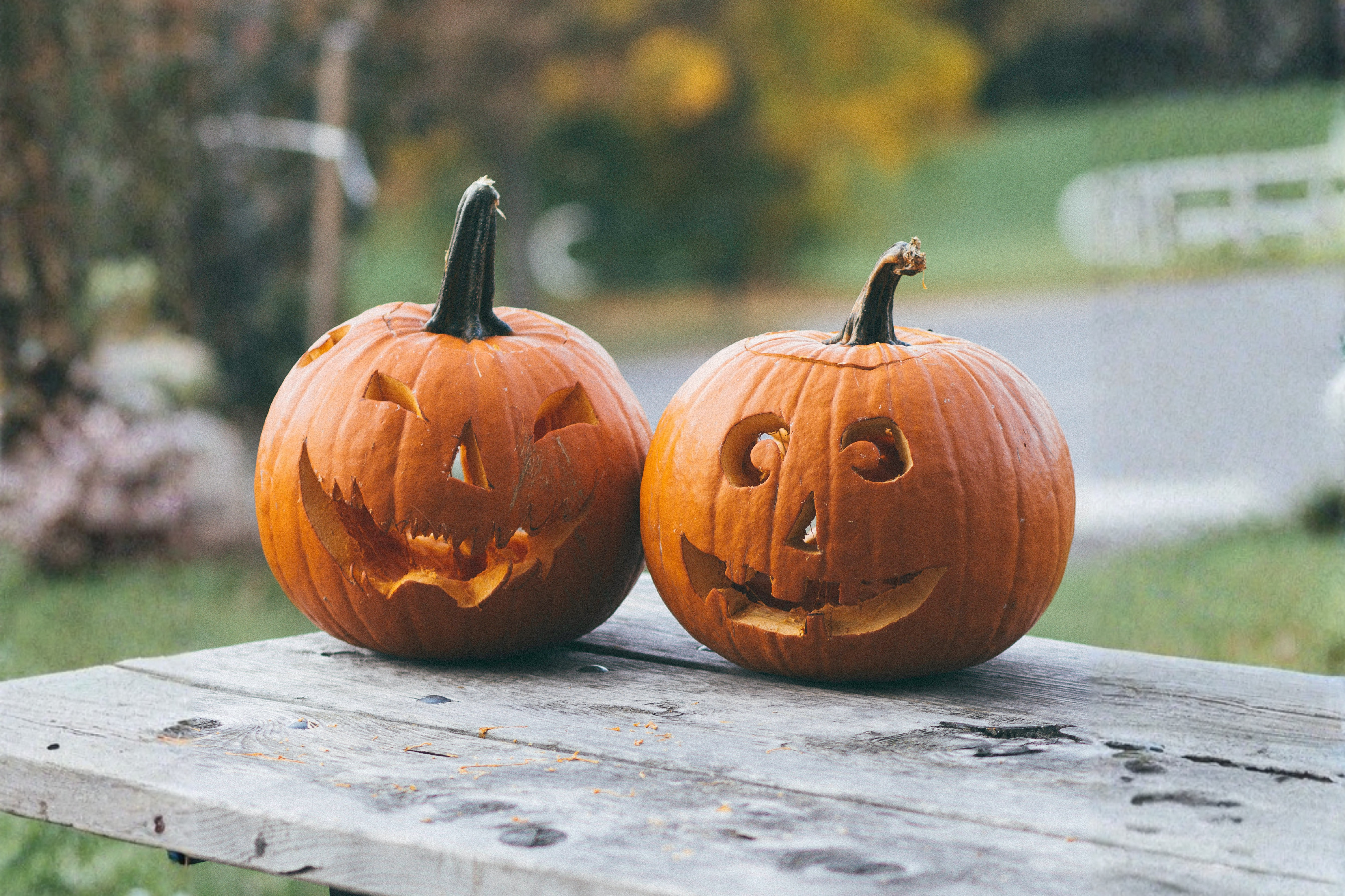 Hvor skal græskarret hen efter halloween?