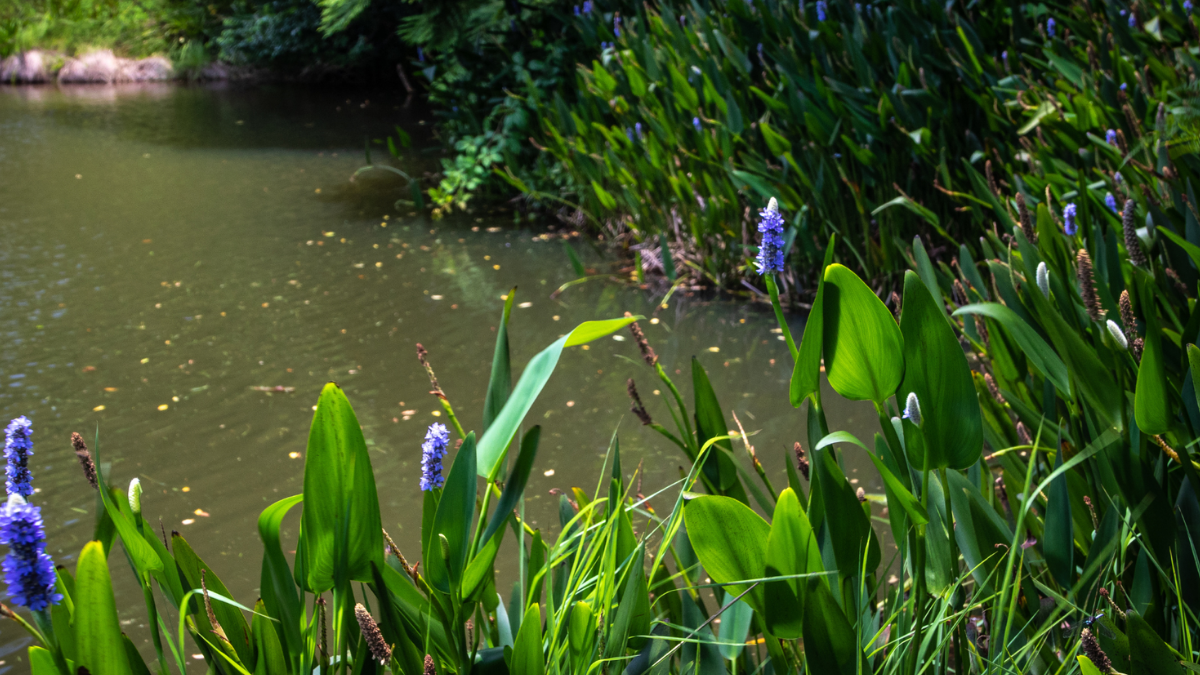 Forbrugervalget 2026 er afgjort