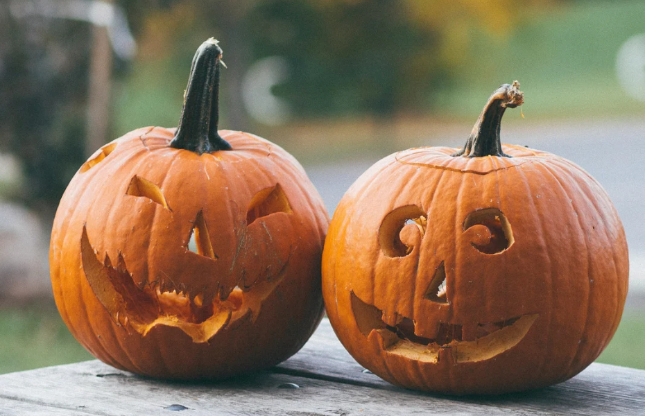 Hvor skal græskarret hen efter halloween?