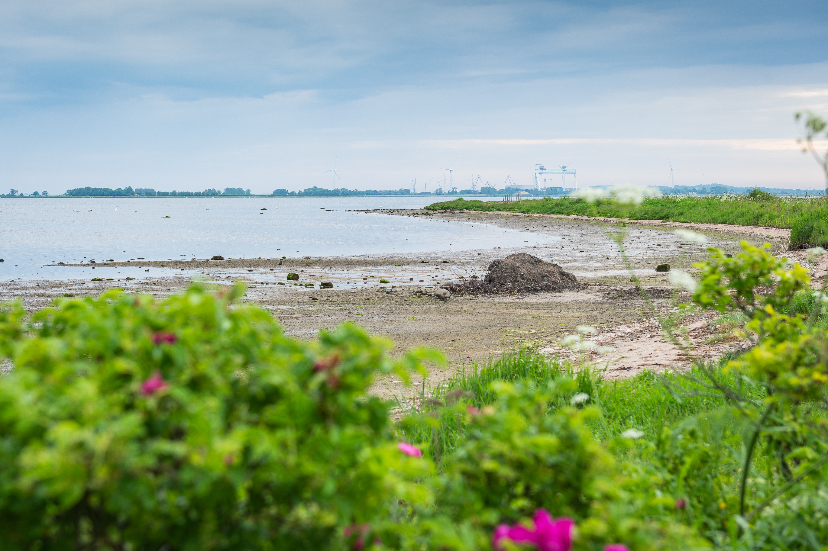 FFV Energi & Miljø indgår i Odense Fjord Samarbejdet