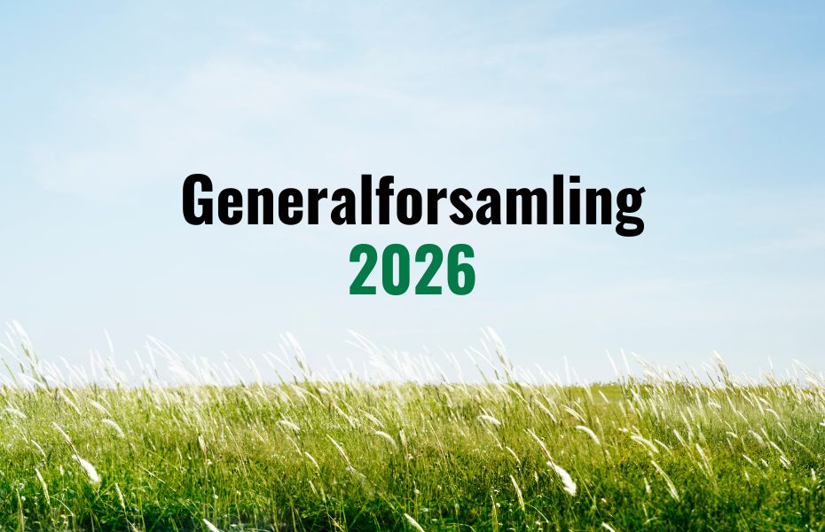 Generalforsamling 2026