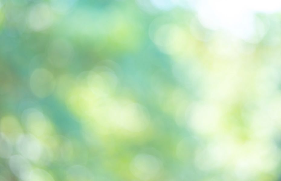 Invitation til reception ved direktørskifte i FFV Energi & Miljø