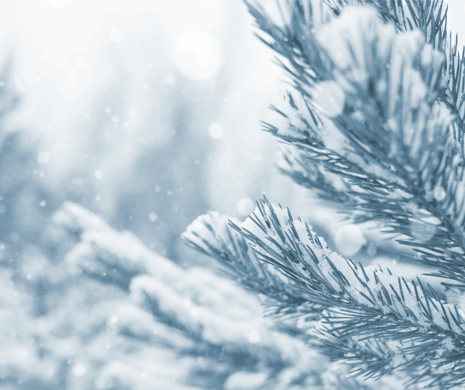 Kundeservice holder lukket for personlig betjening i juleferien