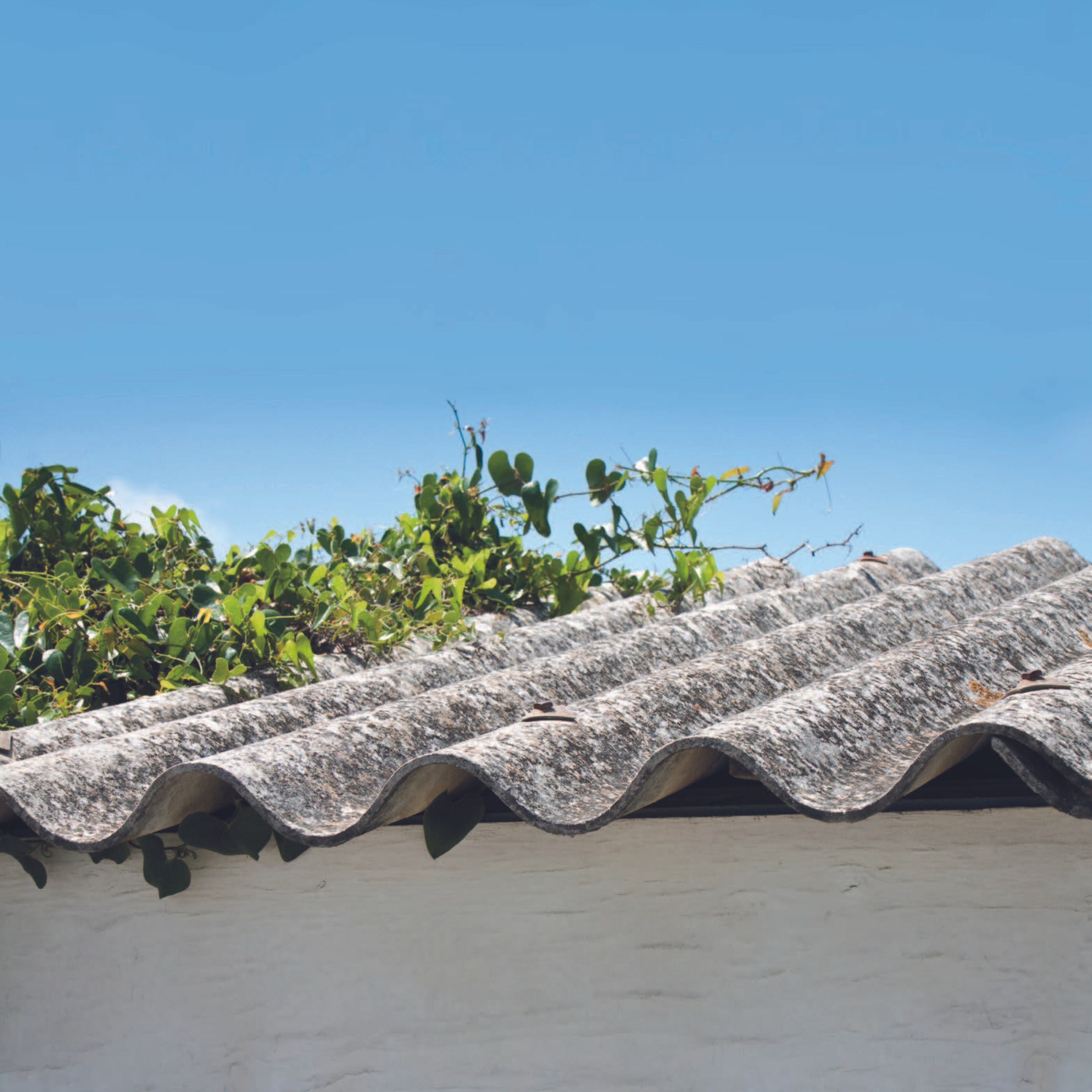 Nye regler for håndtering af asbest