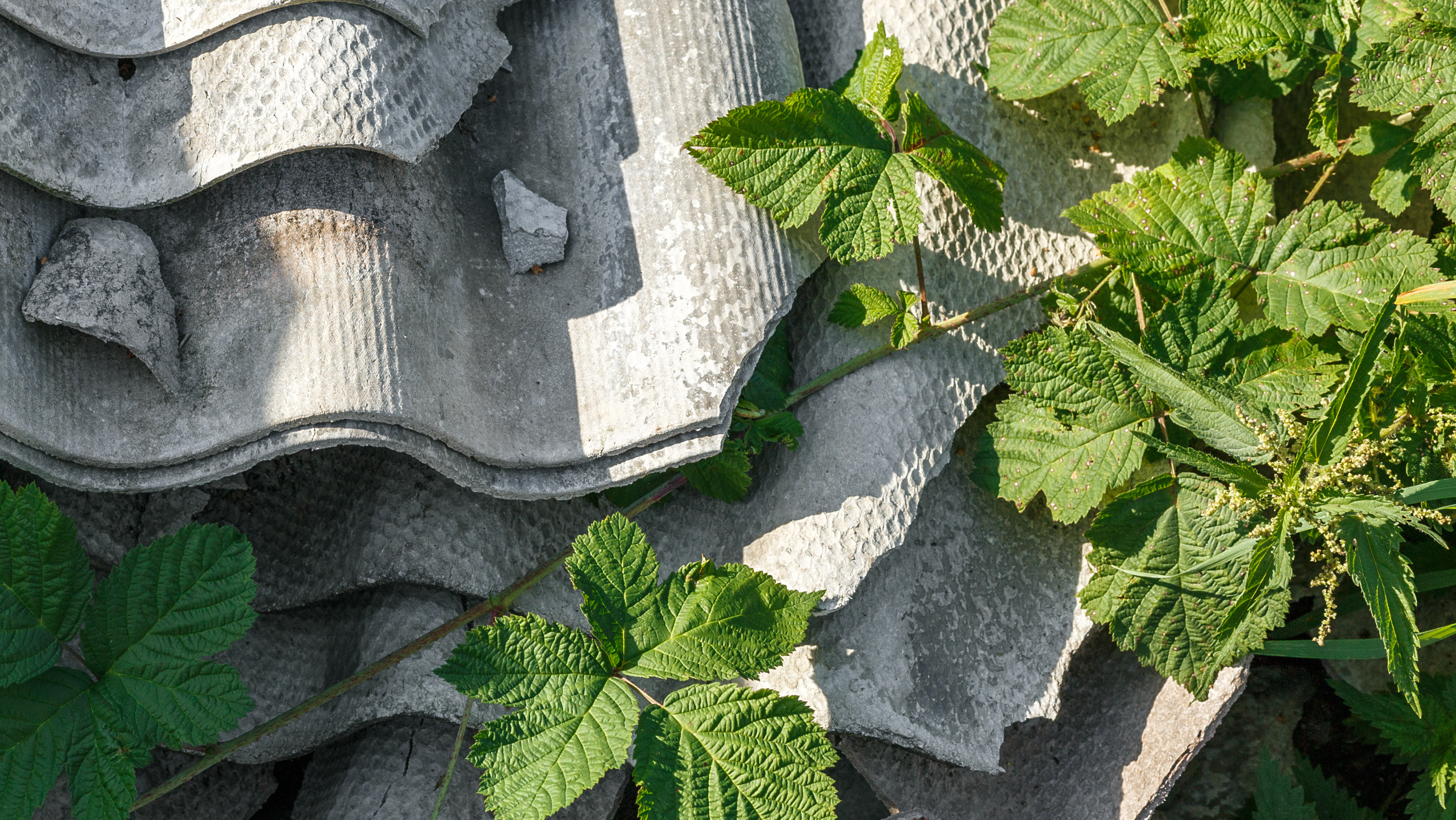 Fra 1. januar 2025 skal du være autoriseret for at nedrive asbest